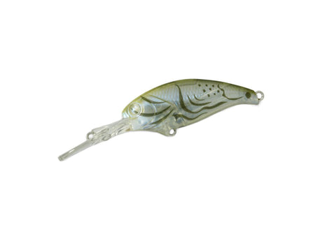 deps Evoke Shad
