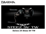 Daiwa 24 Steez SV TW 100 Right