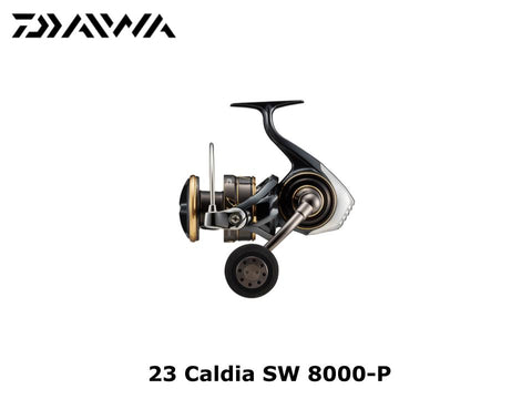 Daiwa 23 Caldia SW 8000-P