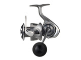 Daiwa 25 Caldia LT5000-CXH