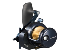 Daiwa 25 Saltiga 10 H Right