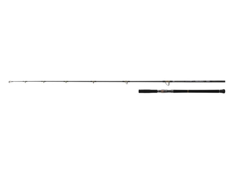 Daiwa 26 Saltiga C Bullswing 80-10