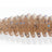 Issei bibibi Bug 2.6in #56 Cinnamon Blue Flake