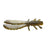 Issei AK Chunk 4 #12 Live Shrimp (NS)
