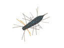 Geecrack Imokemushi 40mm #362 Gill Bug