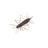 Geecrack Imokemushi 40mm #365 Zari Bug