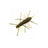 Geecrack Imokemushi 40mm #341 Crazy Bug