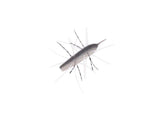 Geecrack Imokemushi 40mm #268 Electric Shad (GS)