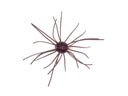 Geecrack Imokemushi Cuebomb 1inch #013 Scuppernong