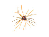 Geecrack Imokemushi Cuebomb 1inch #023 Green Pumpkin Blue Orange