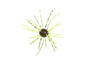 Geecrack Imokemushi Cuebomb 1inch #377 Green Pumpkin/Bite Chartreuse