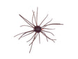 Gee Crack Imokemushi Cuebomb 1.2inch #013 Scuppernong