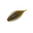 #005 Green Pumpkin