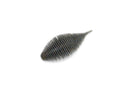#011 Blue Gill