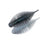 #268 Electric Shad