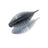 #268 Electric Shad