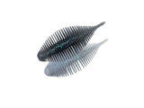 #268 Electric Shad