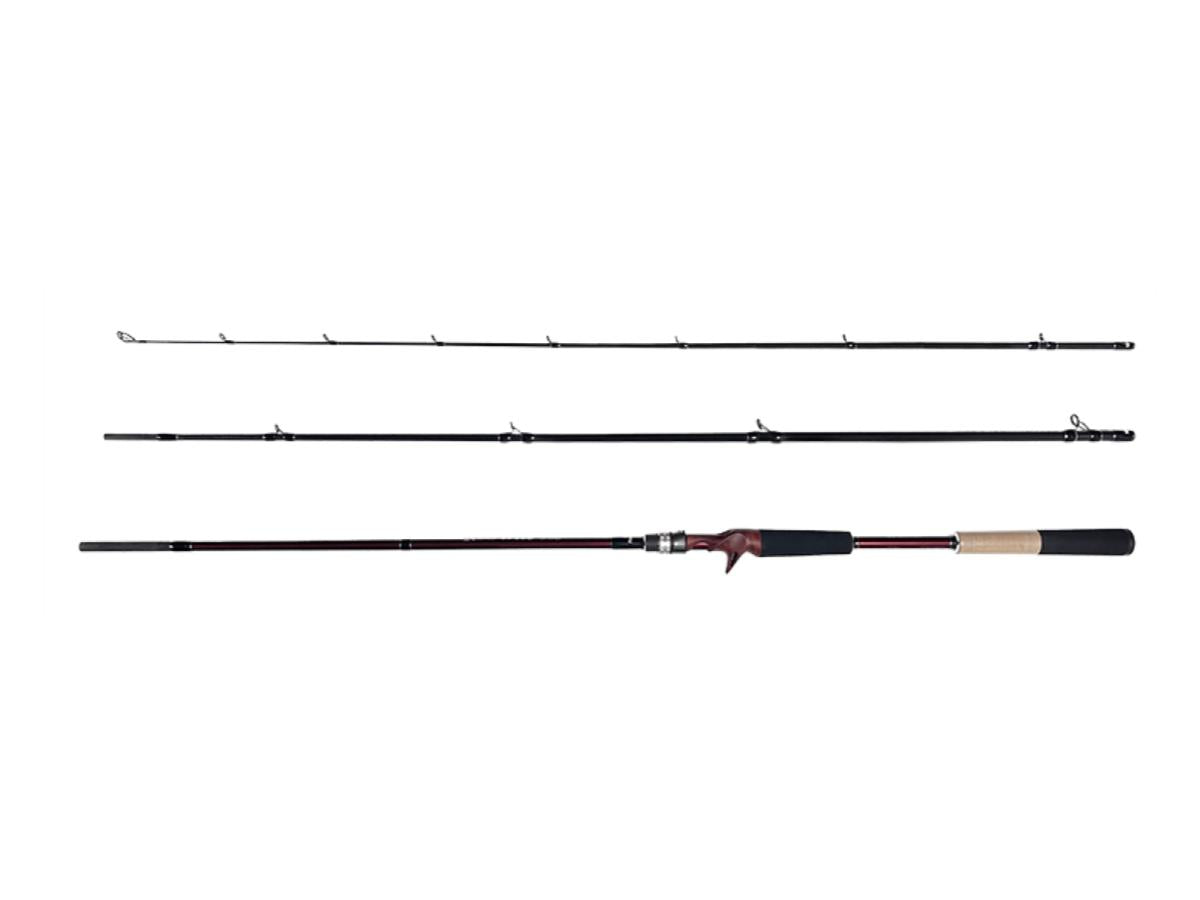 Fishman Beams Inte 9.8L
