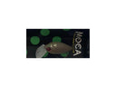 Moca 2 Hooks SR SS #24 Black Manju