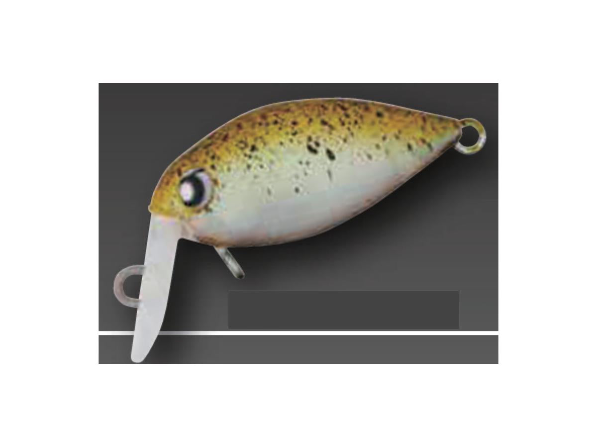 Fat Moca Jr SR SS #33 RC Potato Head