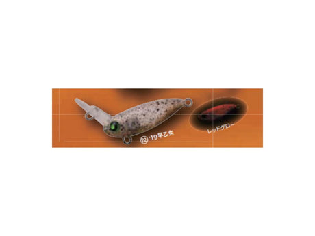 Rodio Craft Ussa XS #22 19 Saotome