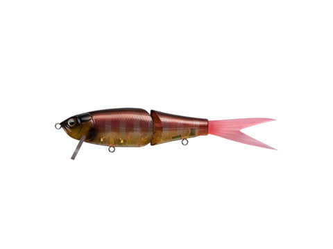 Fish Arrow Riser Jack Jr. SP #70th Gill