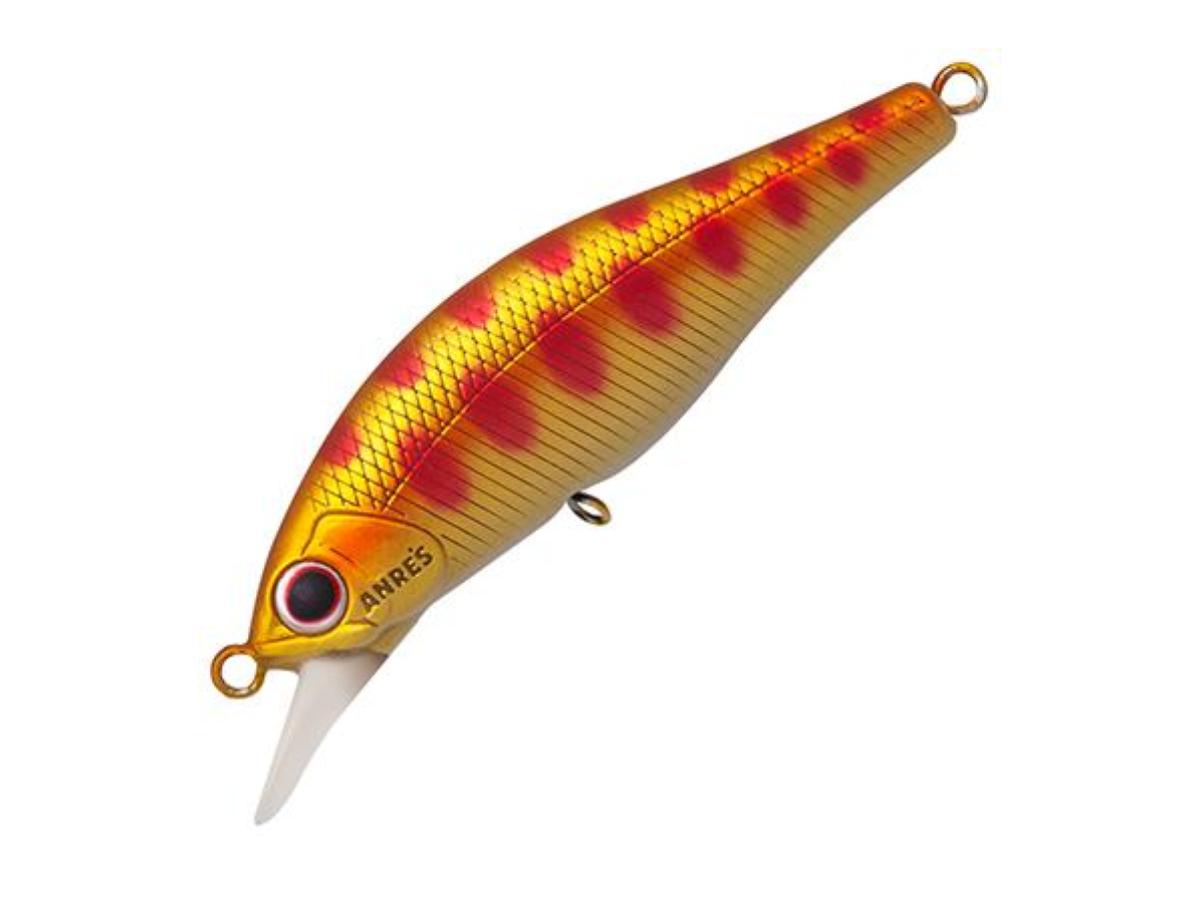 Palms Alexandra 35HW #Matte Gold Yamame – JDM TACKLE HEAVEN