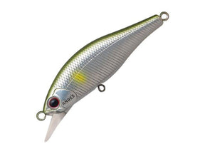 Palms Alexandra 50HW #Matte Ayu