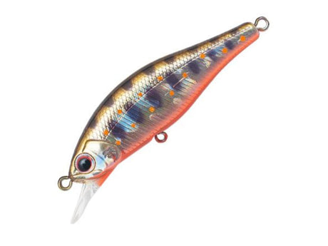 Palms Alexandra 50HW #Amago Orange Belly