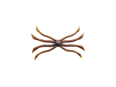 Zappu Fish Magnet Octopus 140mm 4580885010043