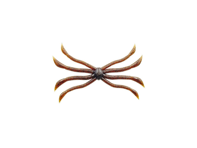 Zappu Fish Magnet Octopus 140mm 4580885010043