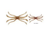 Zappu Fish Magnet Octopus 140mm 4580885010067