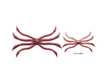 Zappu Fish Magnet Octopus 140mm 4580885010074
