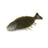 #S-248 Imae Green Pumpkin Pepper