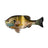 Imakatsu GilSoft 130 Eco #S-559 3DR Male Gill