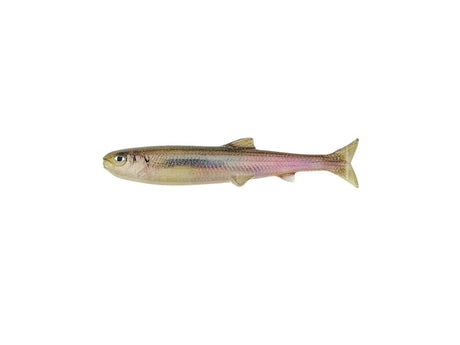 Imakatsu Lazy Swimmer 3.9inch #S-573 3DR Ghost Wakasagi
