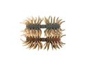 Imakatsu Hairy Spider Kujala