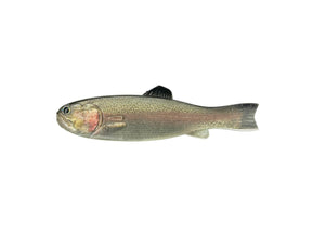 Imakatsu Bass Worm 145 #S-485 3DR Rainbow Trout