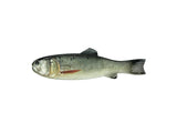 Imakatsu Bass Worm 145 #S-487 3DR Bass