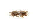 Imakatsu Hairy Spider Kujala