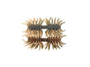 Imakatsu Hairy Spider Kujala