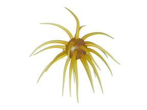 Hideup Coike Fullcast Soft Material #263 Kuririn Kintoki