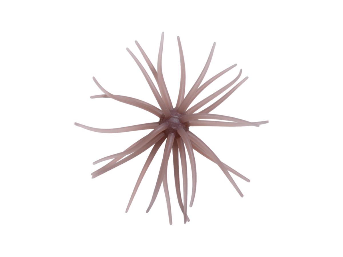 Hideup Kyu Coike Soft Material