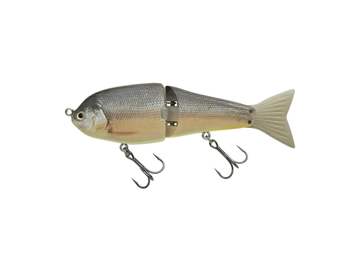 Nories Hira Top 170F