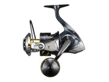 Shimano 25 Stella SW 8000PG