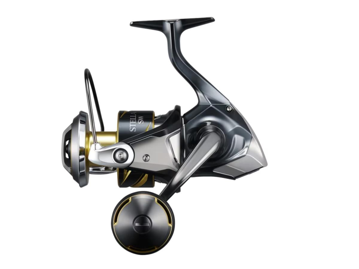 Shimano 25 Stella SW 8000HG