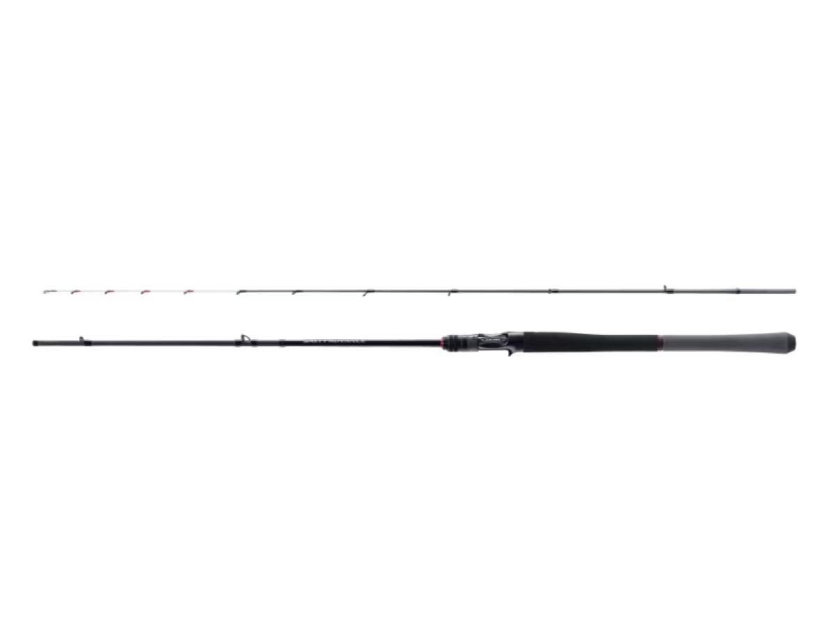 Shimano 25 Salty Advance Off Shore Model B66M-S Metal Sutte