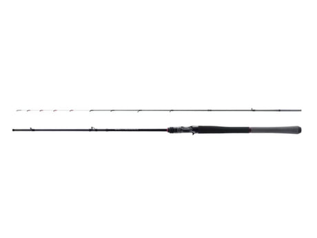 Shimano 25 Salty Advance Off Shore Model B66M-S Metal Sutte