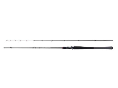 Shimano 25 Salty Advance Off Shore Model S66ML-S Metal Sutte Tip Eging