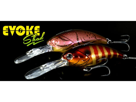 deps Evoke Shad